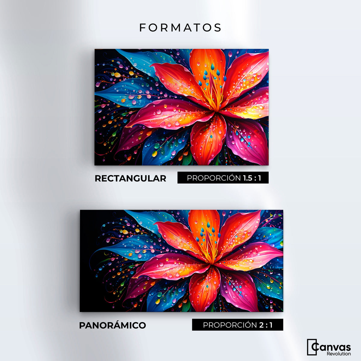Cuadros Decorativos Canvas Revolution | Flor Aurea Nitida | Formatos