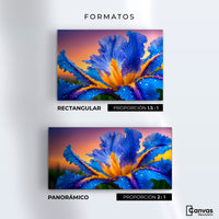 Cuadros Decorativos Canvas Revolution | Flor Iris Divino | Formatos