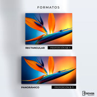 Cuadros Decorativos Canvas Revolution | Flor Paraiso Eterno | Formatos