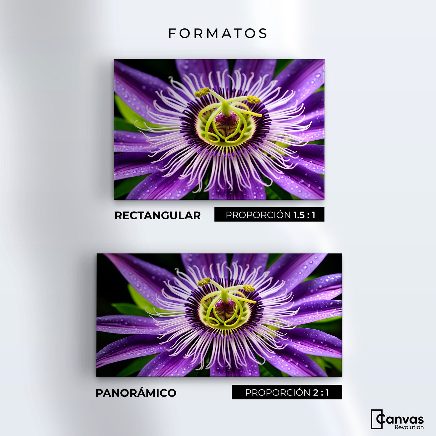Cuadros Decorativos Canvas Revolution | Flor Pasion Eterna | Formatos