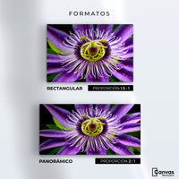 Cuadros Decorativos Canvas Revolution | Flor Pasion Eterna | Formatos
