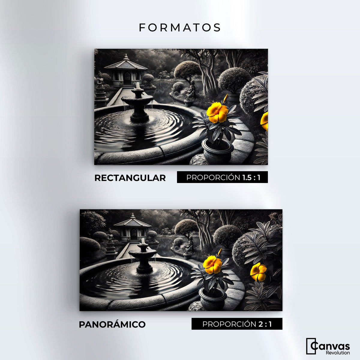 Cuadros Decorativos Canvas Revolution | Florecer Y Fluir | Formatos