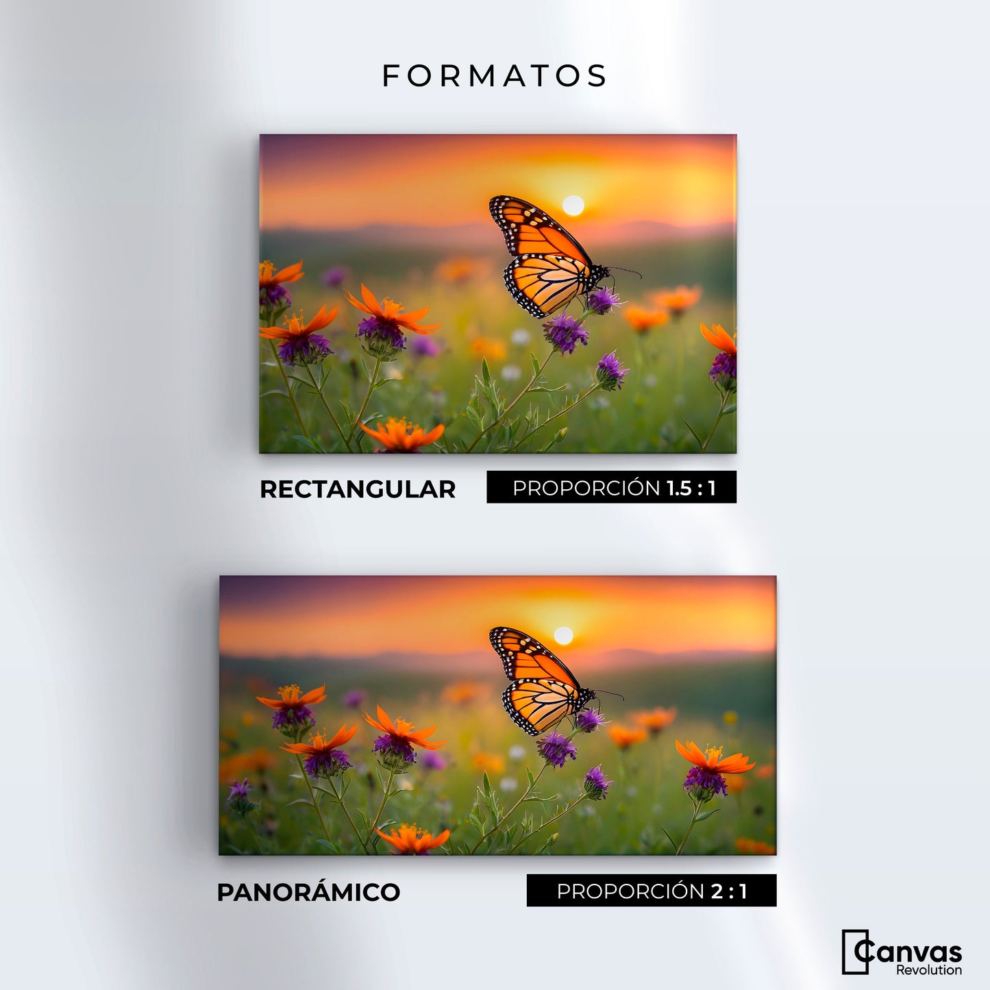 Cuadros Decorativos Canvas Revolution | Flores Del Alba | Formatos