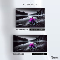 Cuadros Decorativos Canvas Revolution | Flores En El Agua | Formatos