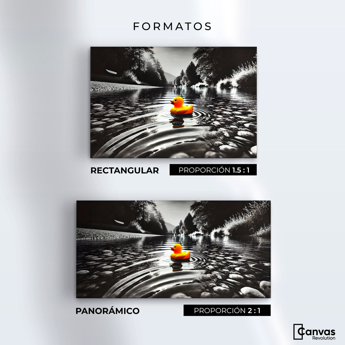 Cuadros Decorativos Canvas Revolution | Flotando Solo | Formatos