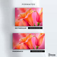 Cuadros Decorativos Canvas Revolution | Fragancia De Dragon | Formatos