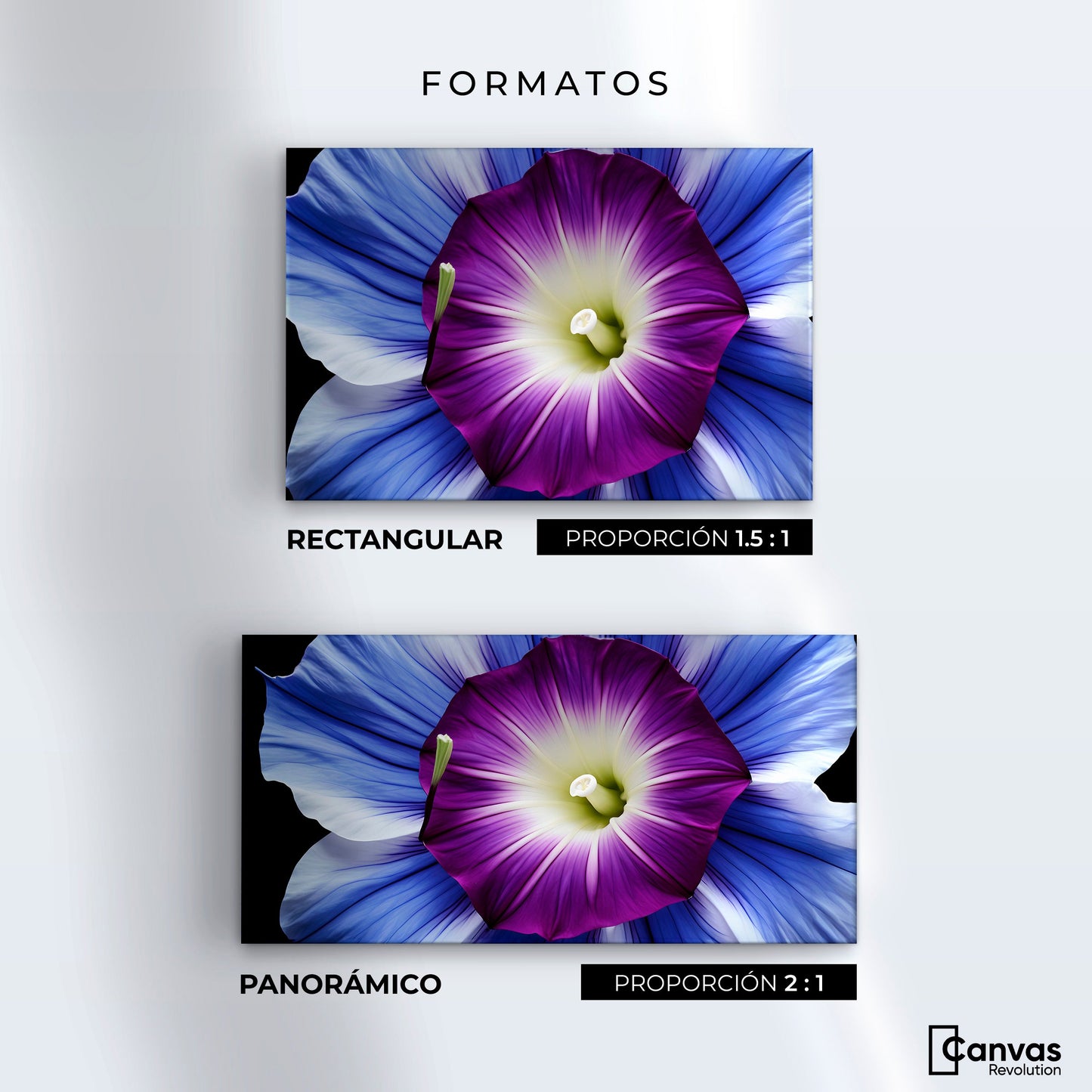 Cuadros Decorativos Canvas Revolution | Fulgor De La Manana | Formatos