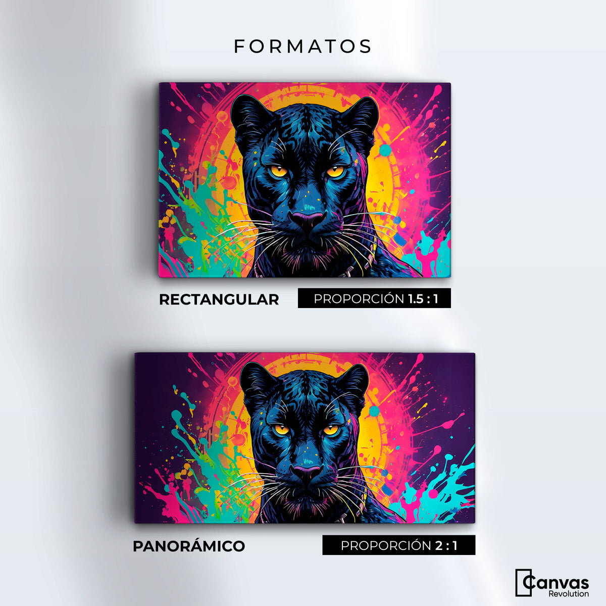 Cuadros Decorativos Canvas Revolution | Fusion Salvaje | Formatos
