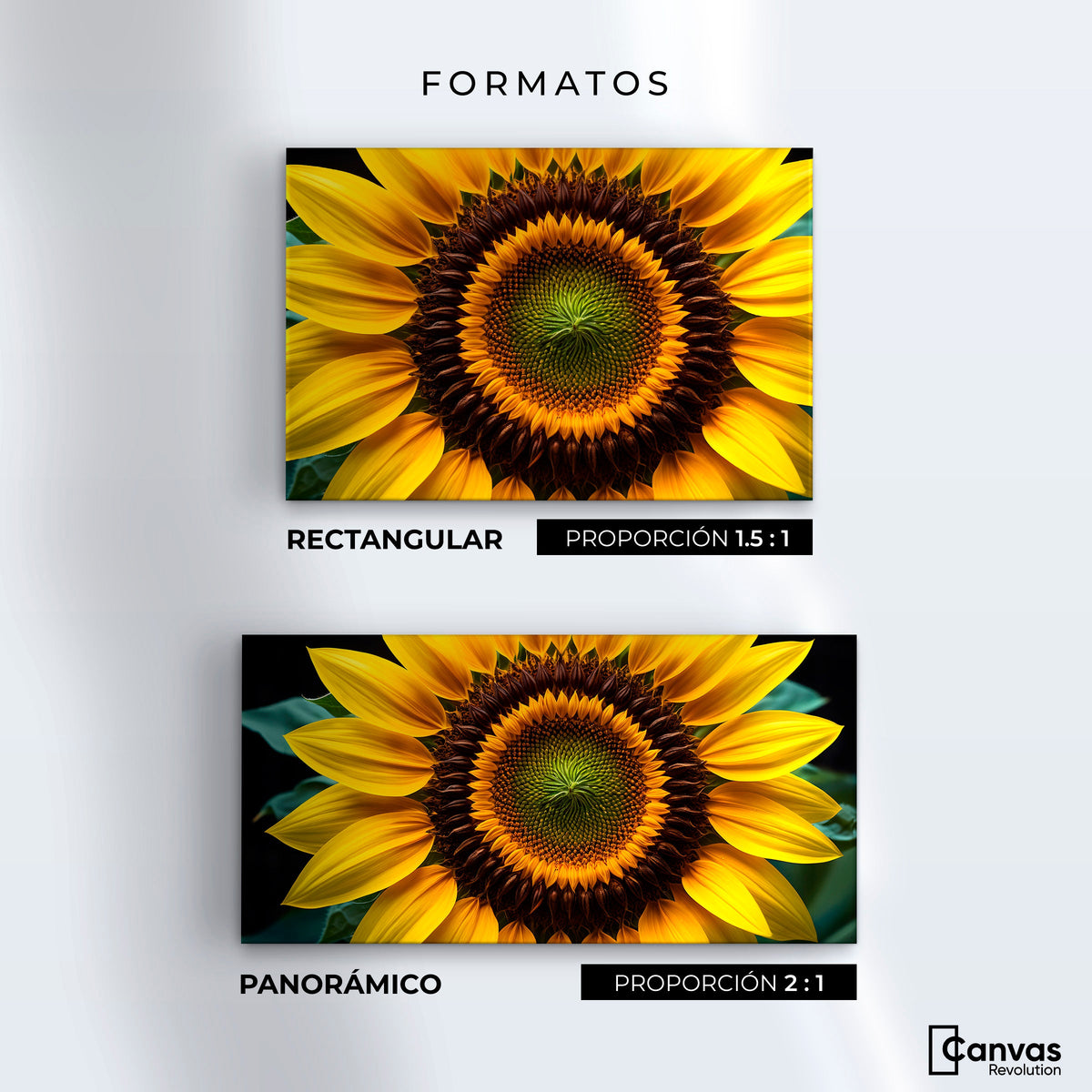Cuadros Decorativos Canvas Revolution | Girasol Cercano | Formatos