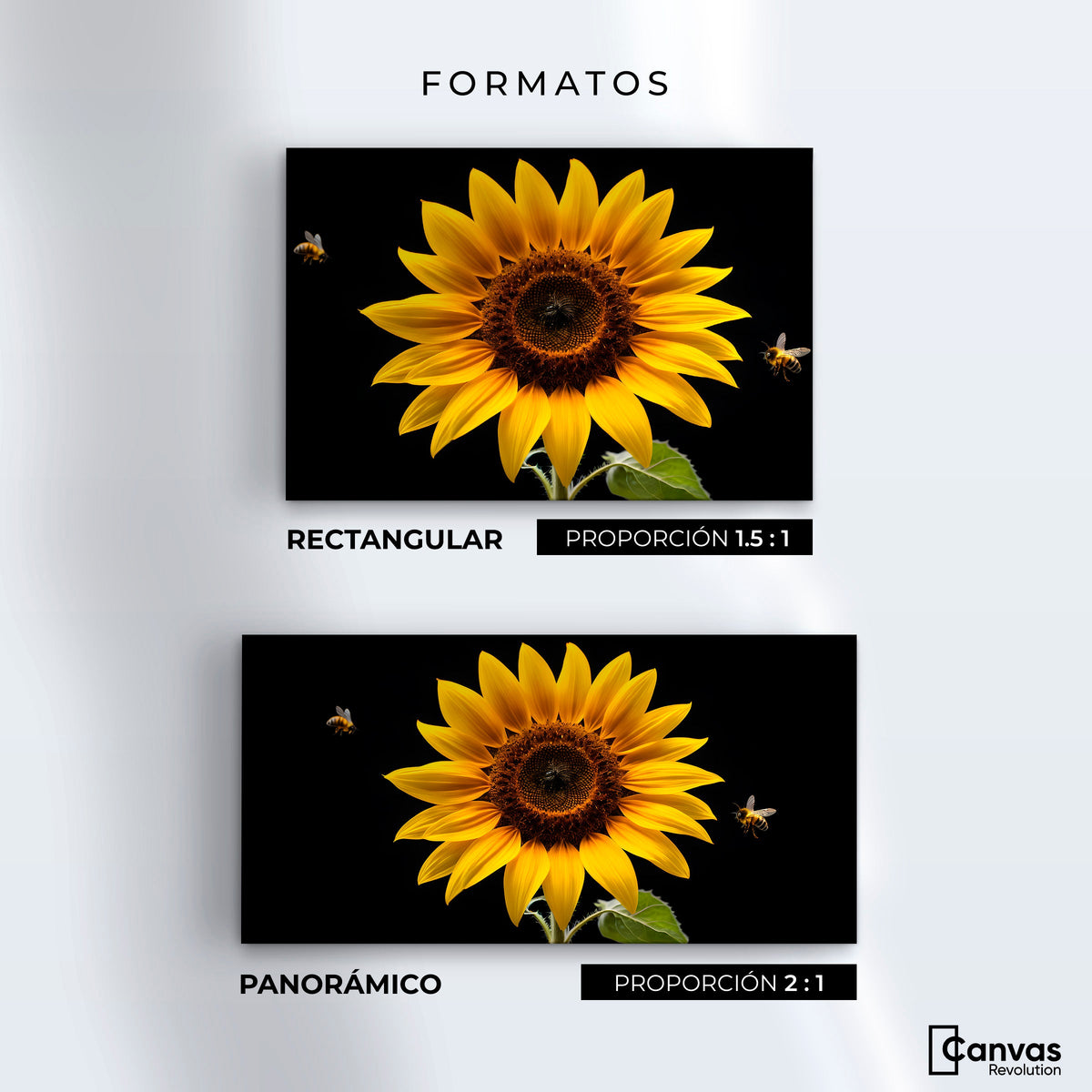 Cuadros Decorativos Canvas Revolution | Girasol En Vuelo | Formatos