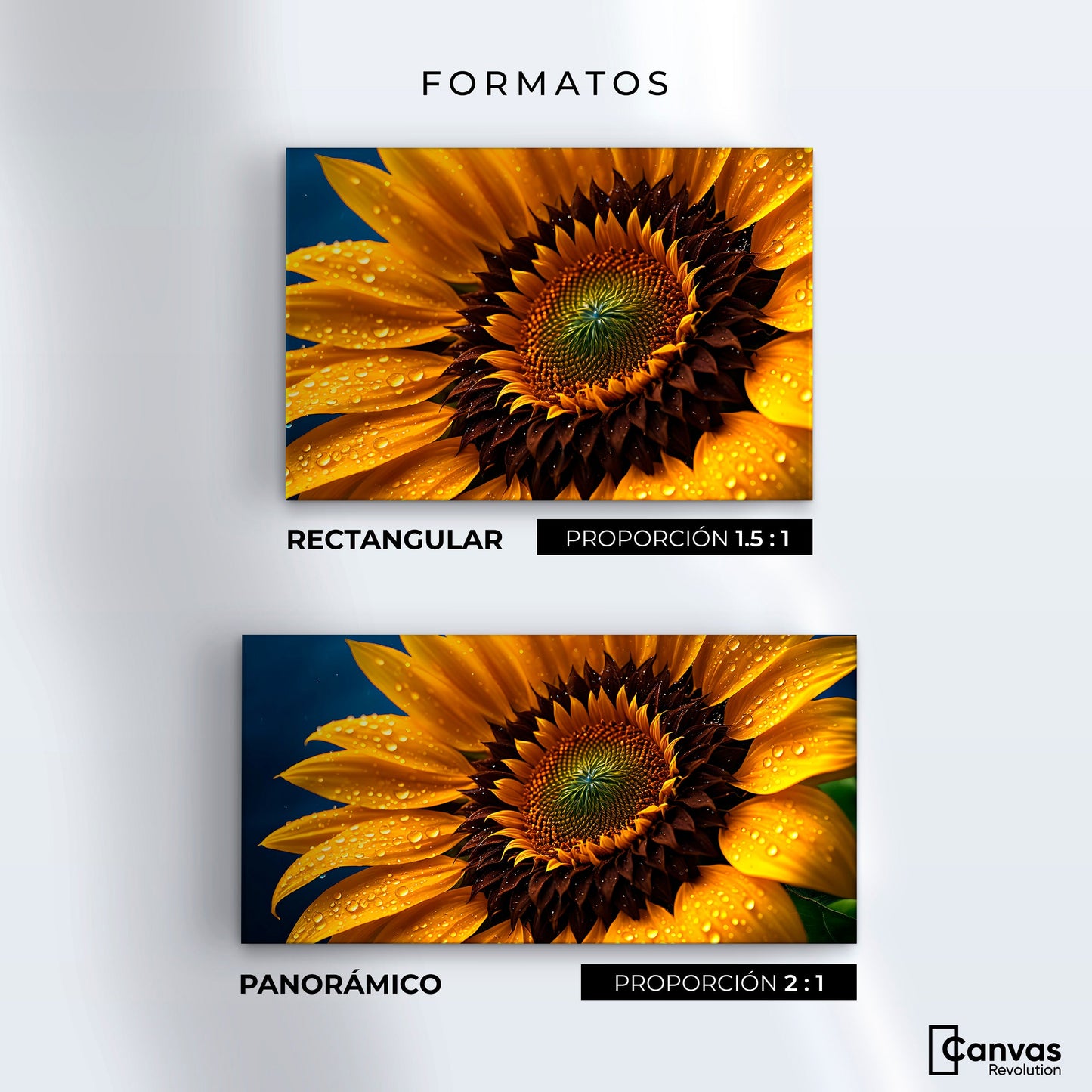 Cuadros Decorativos Canvas Revolution | Girasol Luz Dorada | Formatos