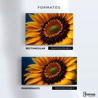 Cuadros Decorativos Canvas Revolution | Girasol Luz Dorada | Formatos