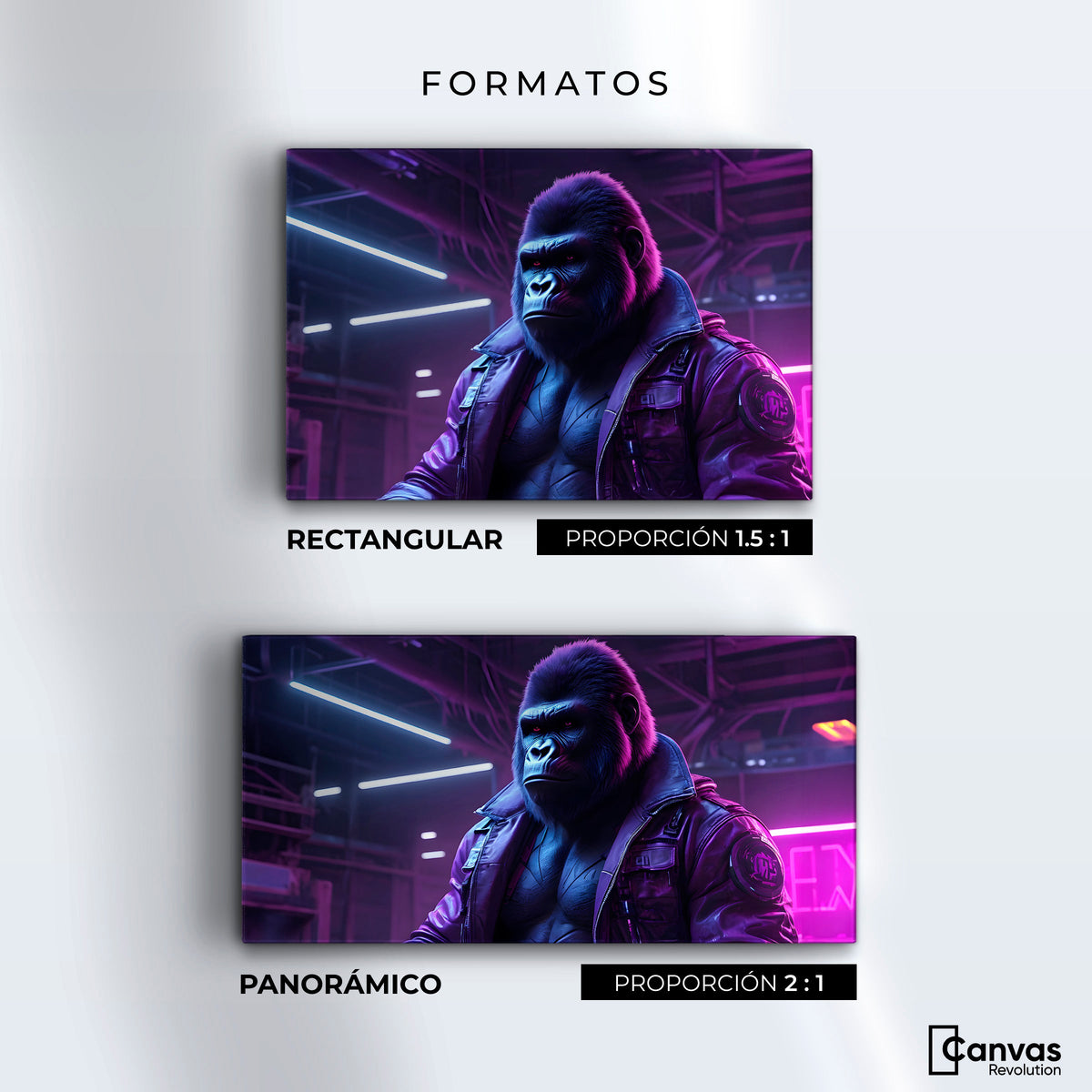 Cuadros Decorativos Canvas Revolution | Gorila Con Chaqueta | Formatos