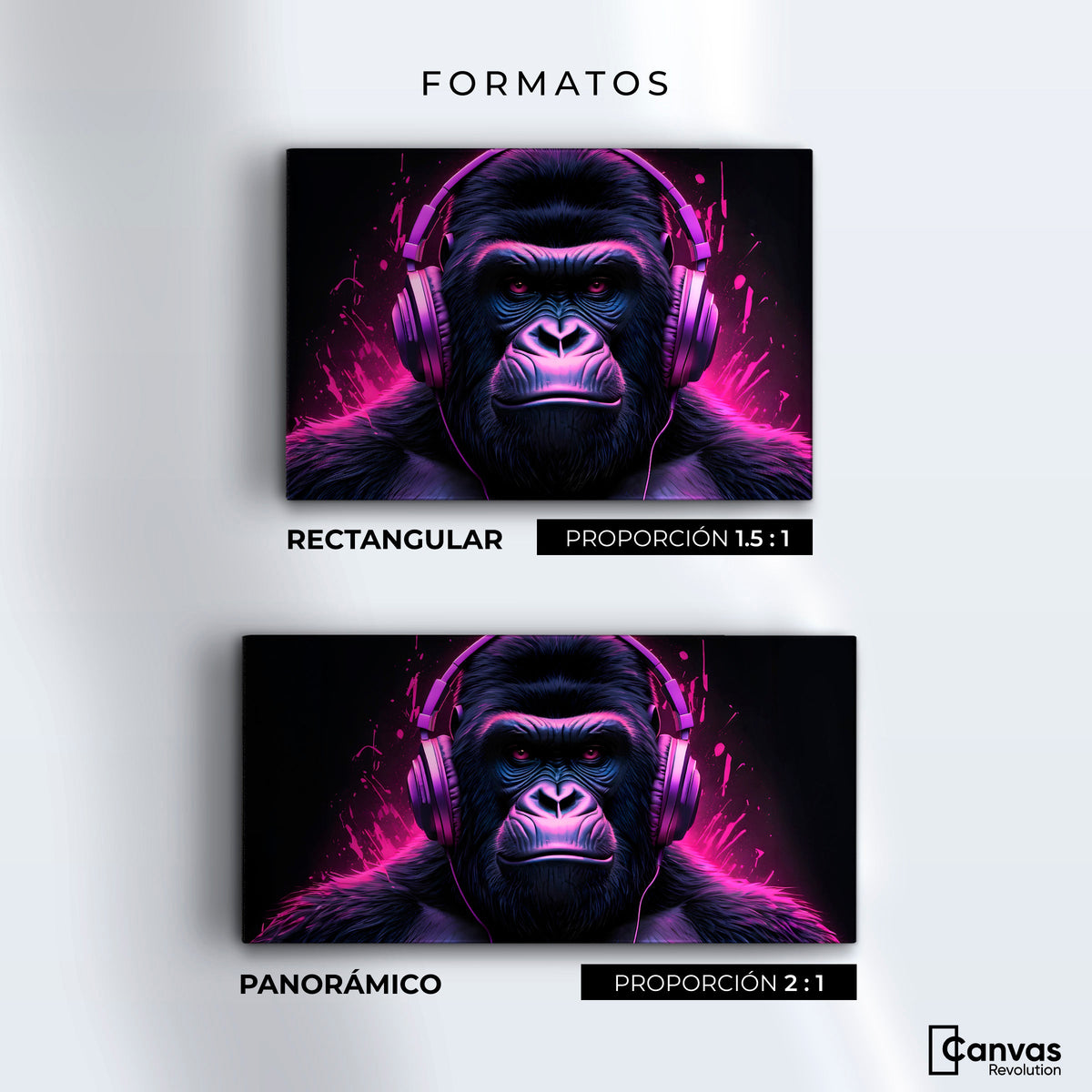 Cuadros Decorativos Canvas Revolution | Gorila Electronico | Formatos