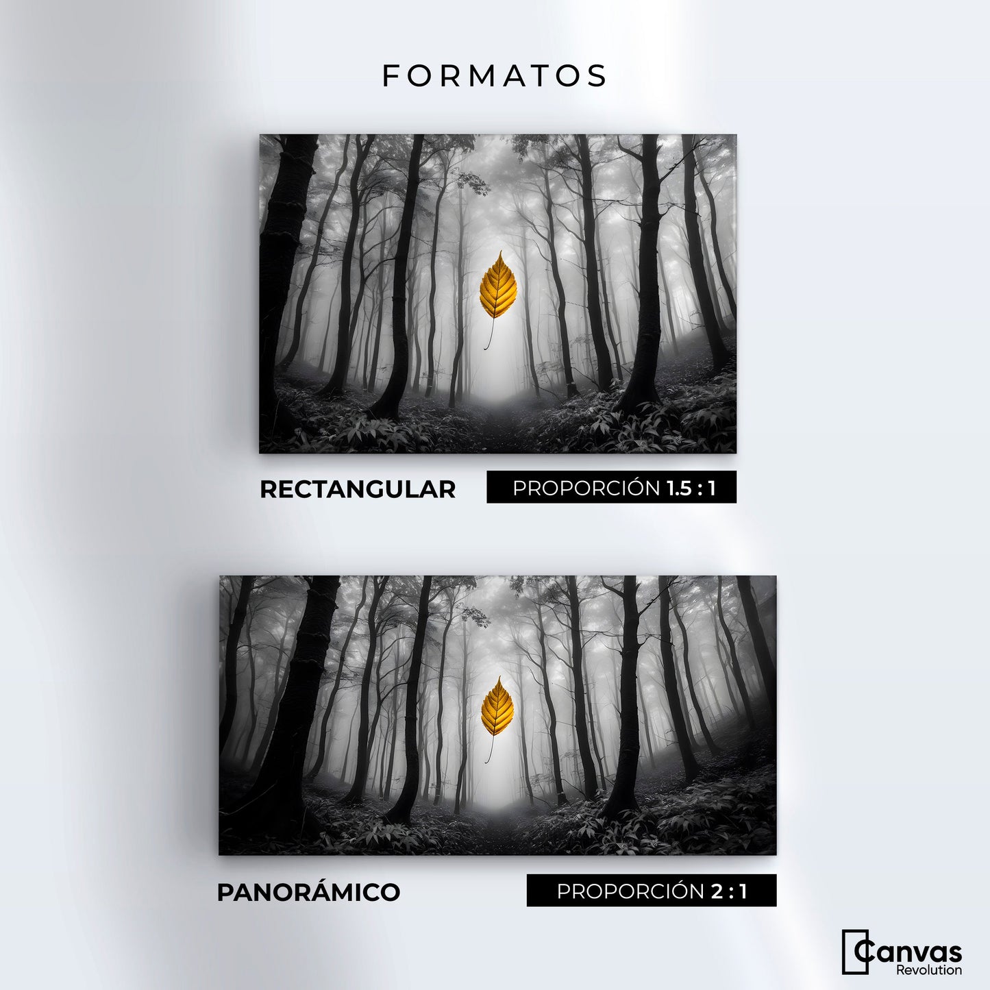 Cuadros Decorativos Canvas Revolution | Hoja En Silencio | Formatos