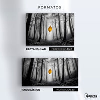Cuadros Decorativos Canvas Revolution | Hoja En Silencio | Formatos