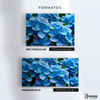 Cuadros Decorativos Canvas Revolution | Hortensia Azulada | Formatos