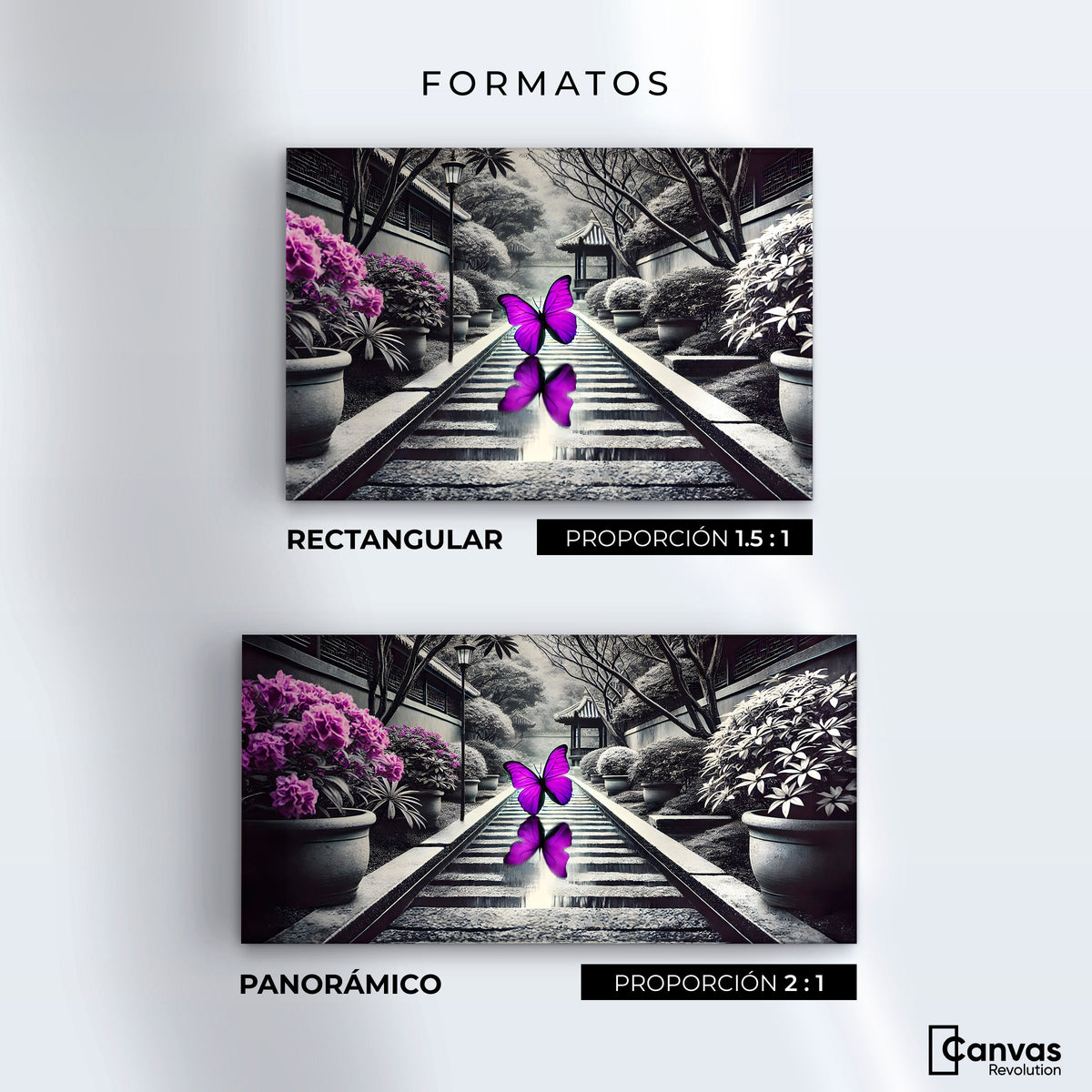 Cuadros Decorativos Canvas Revolution | Jardin En Vuelo | Formatos