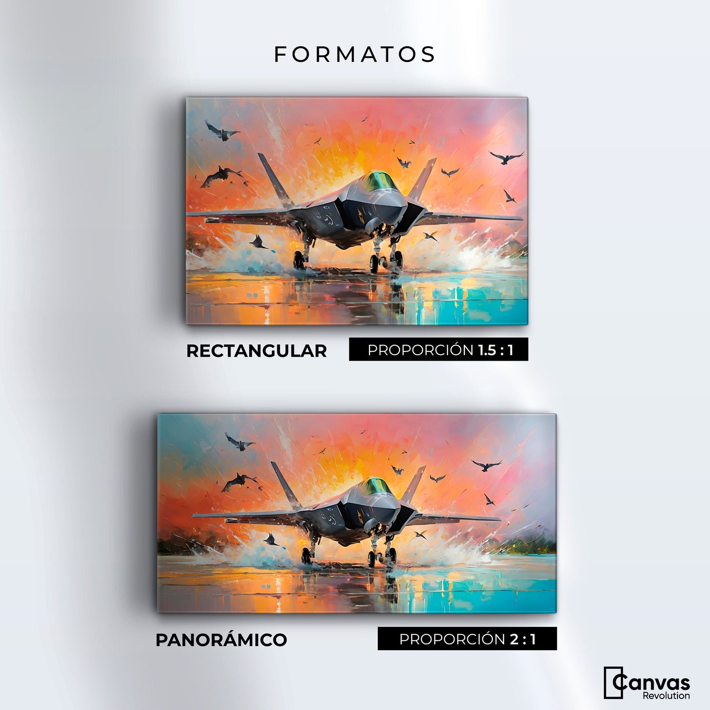 Cuadros Decorativos Canvas Revolution | Jet Pista Aerea | Formatos