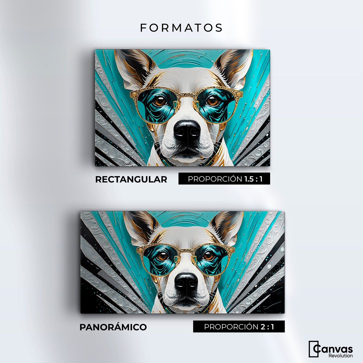 Cuadros Decorativos Canvas Revolution | Lentes Caninos | Formatos