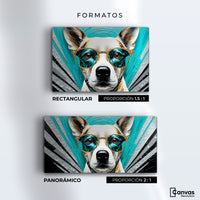 Cuadros Decorativos Canvas Revolution | Lentes Caninos | Formatos