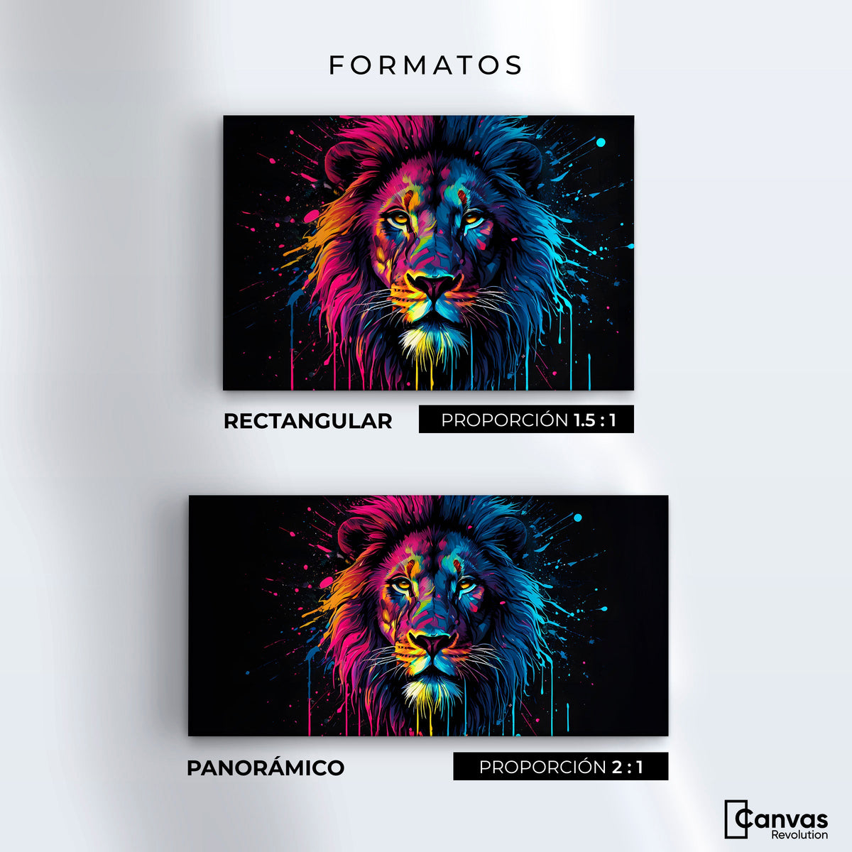 Cuadros Decorativos Canvas Revolution | Leon Cromatico | Formatos