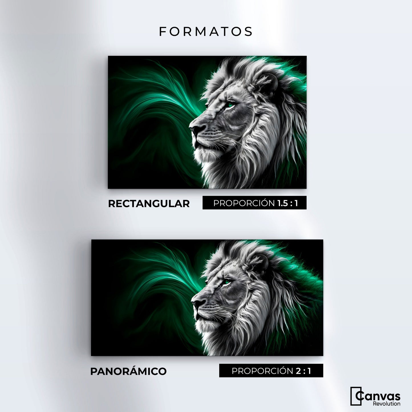 Cuadros Decorativos Canvas Revolution | Leon Radiante | Formatos