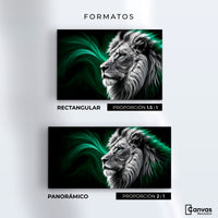 Cuadros Decorativos Canvas Revolution | Leon Radiante | Formatos