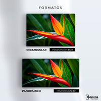Cuadros Decorativos Canvas Revolution | Llama De Heliconia | Formatos