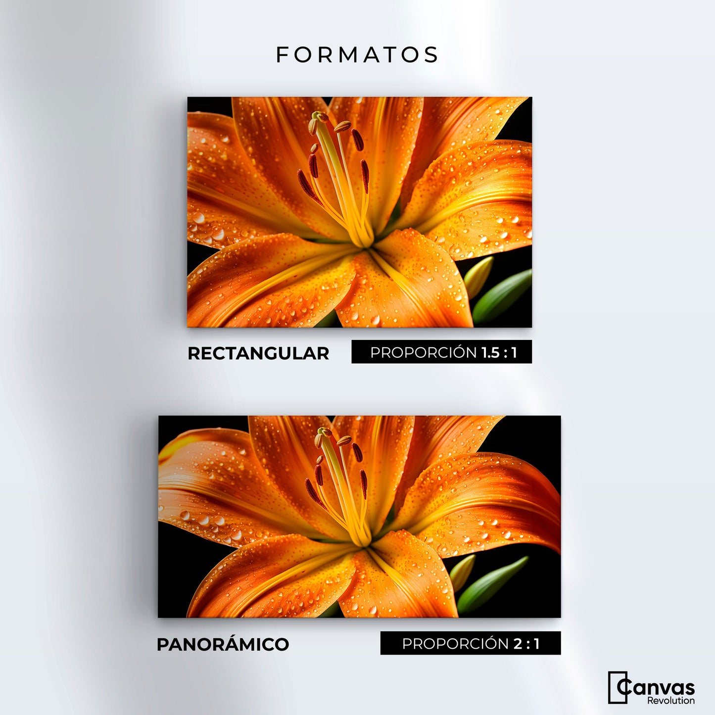 Cuadros Decorativos Canvas Revolution | Llama Lirio Macro | Formatos