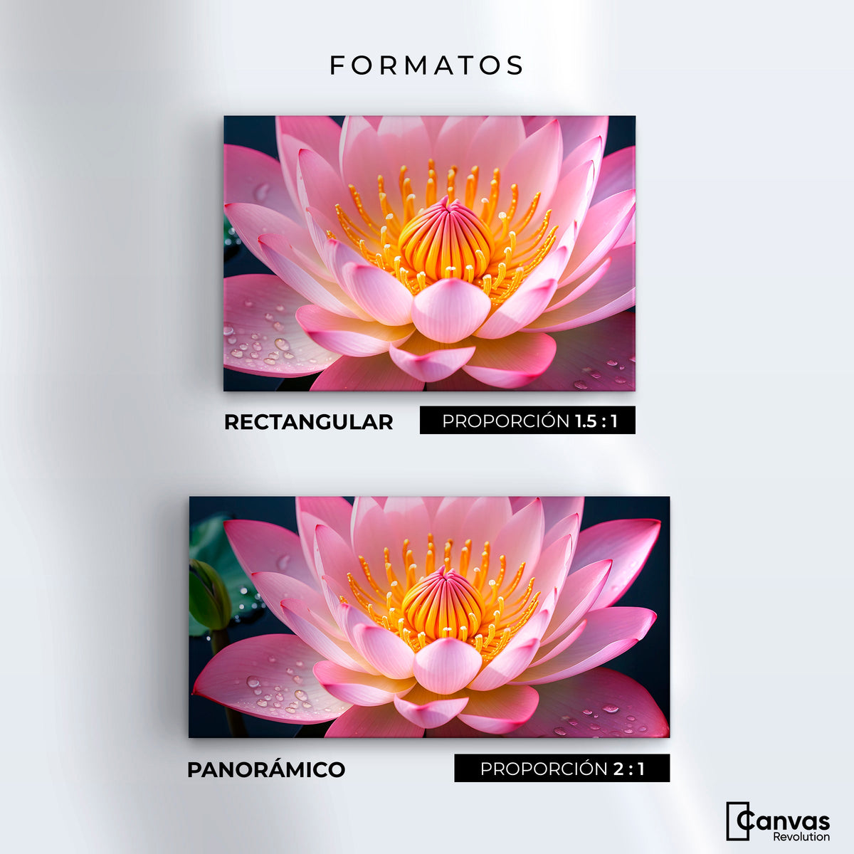 Cuadros Decorativos Canvas Revolution | Loto Dual Radiante | Formatos