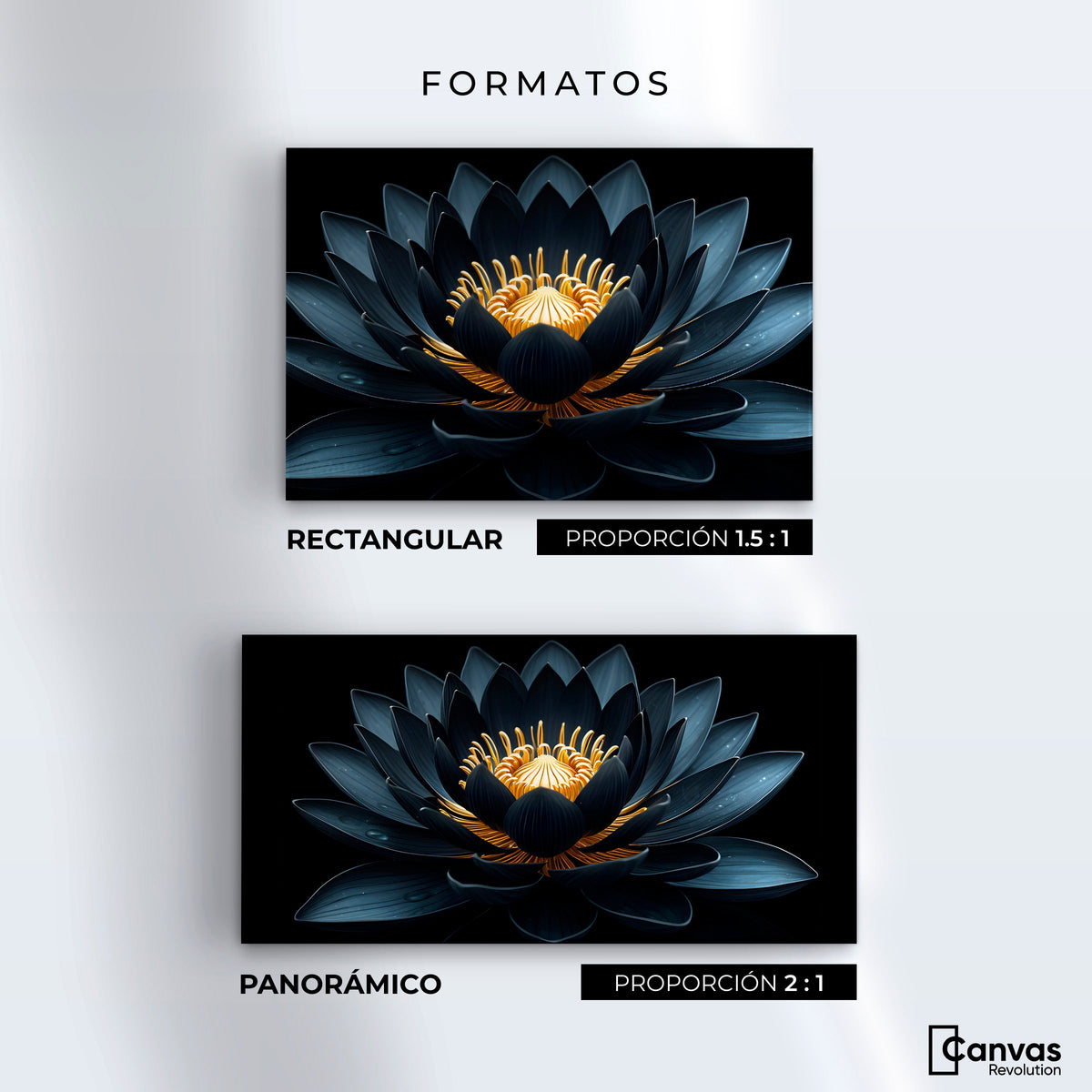 Cuadros Decorativos Canvas Revolution | Loto En Sombra | Formatos