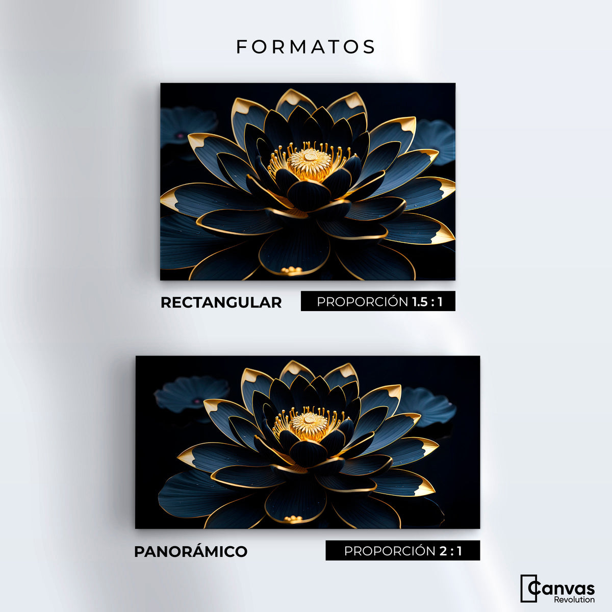 Cuadros Decorativos Canvas Revolution | Loto Negro Oro | Formatos