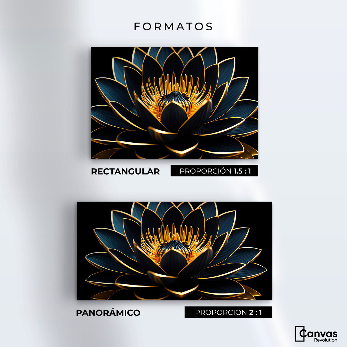 Cuadros Decorativos Canvas Revolution | Loto Oro Oscuro | Formatos