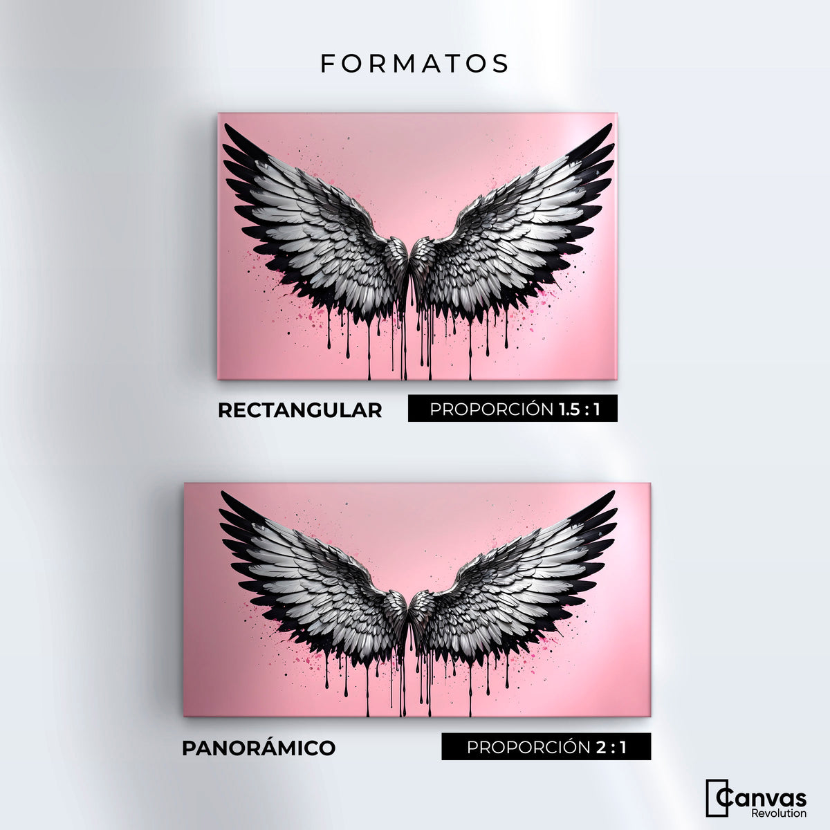 Cuadros Decorativos Canvas Revolution | Luz De Angeles | Formatos
