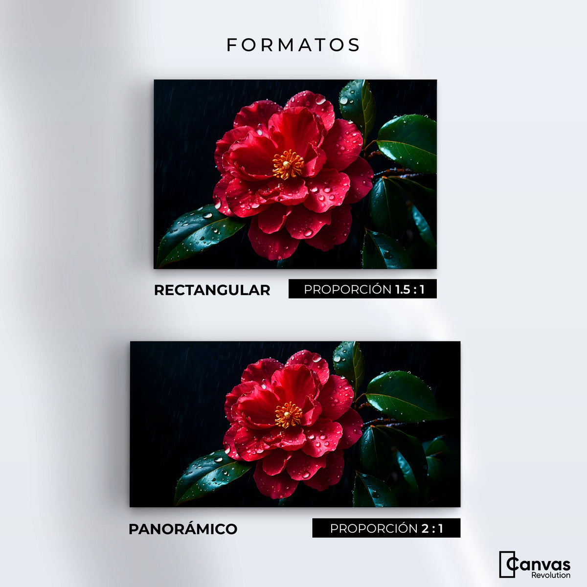 Cuadros Decorativos Canvas Revolution | Magia De Camelia | Formatos