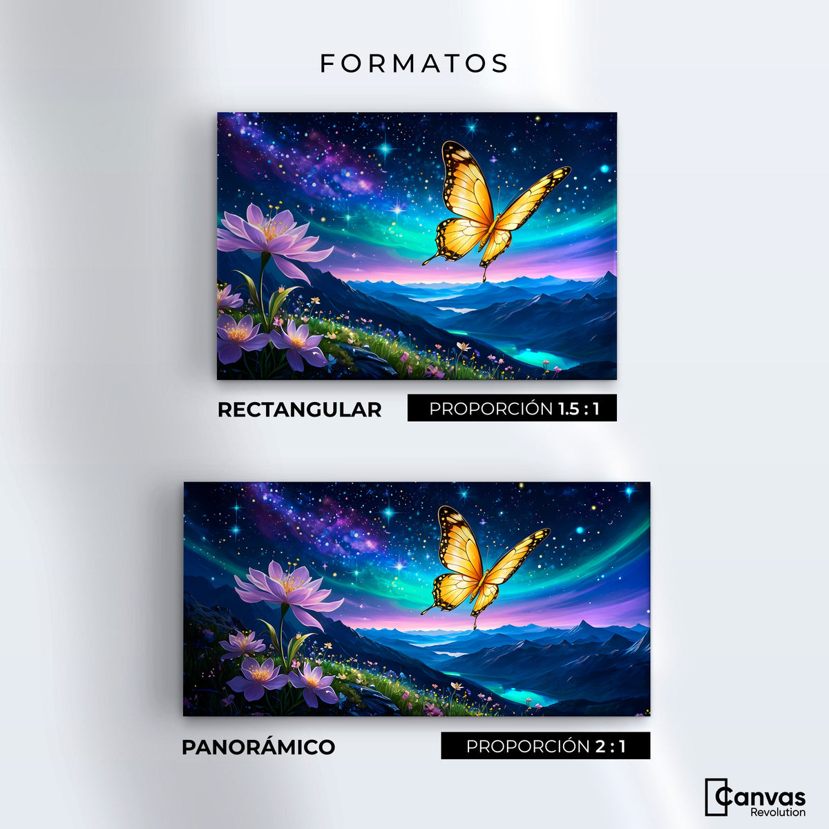 Cuadros Decorativos Canvas Revolution | Magia Nocturna | Formatos