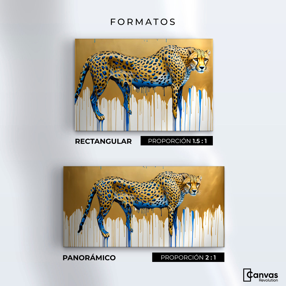Cuadros Decorativos Canvas Revolution | Majestad Derretida | Formatos