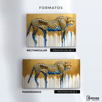 Cuadros Decorativos Canvas Revolution | Majestad Derretida | Formatos