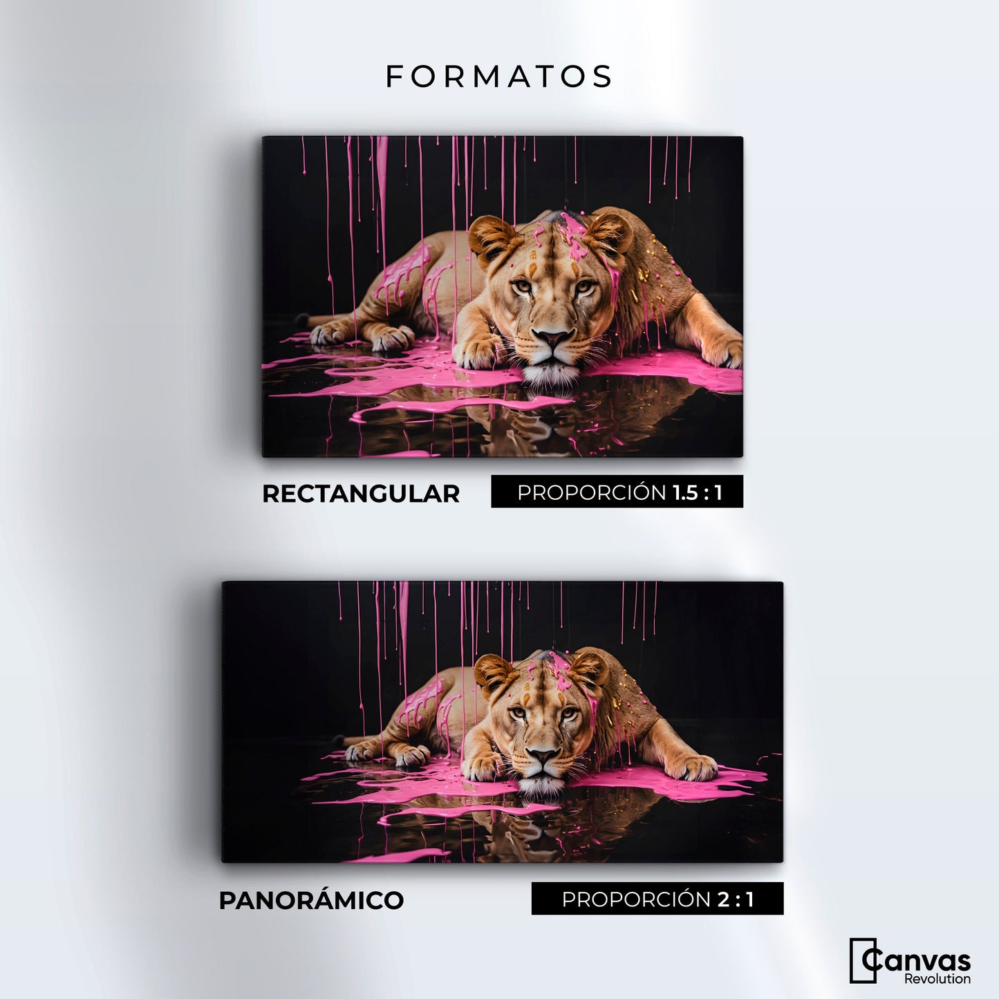 Cuadros Decorativos Canvas Revolution | Majestad Rosada | Formatos