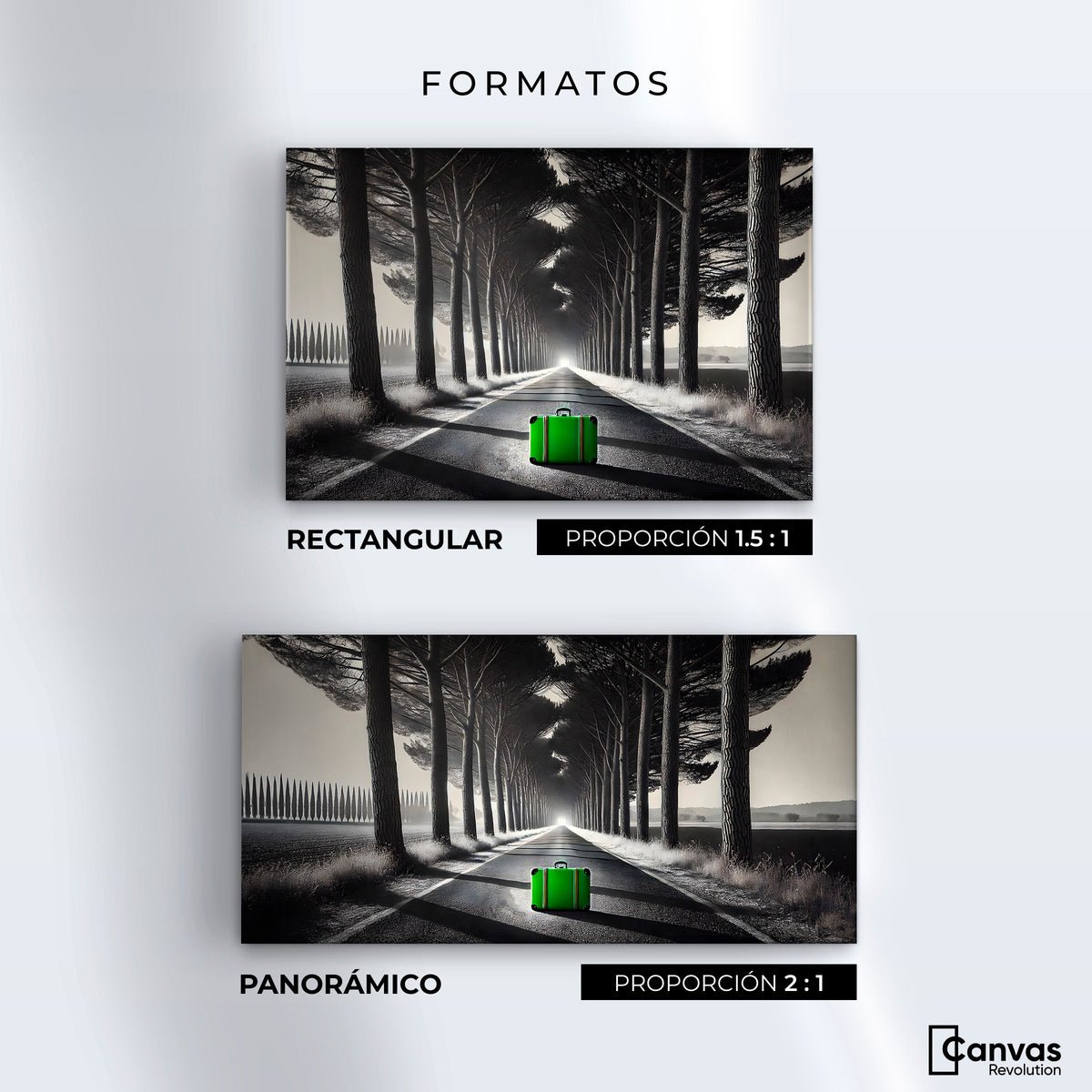 Cuadros Decorativos Canvas Revolution | Maleta Solitaria | Formatos