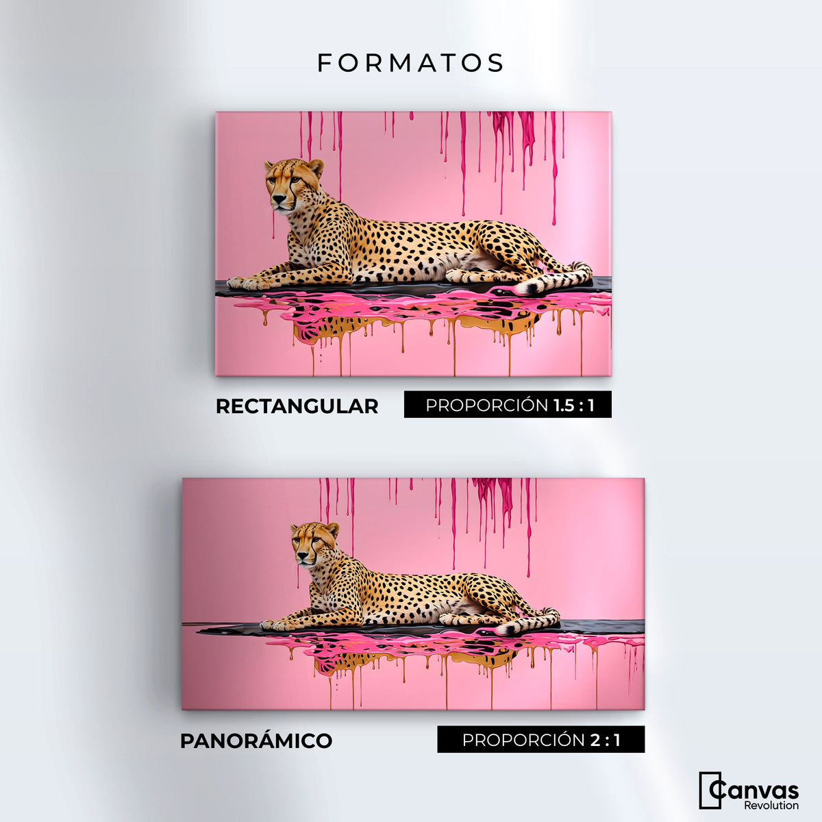 Cuadros Decorativos Canvas Revolution | Manchas Majestuosas | Formatos