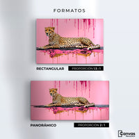 Cuadros Decorativos Canvas Revolution | Manchas Majestuosas | Formatos