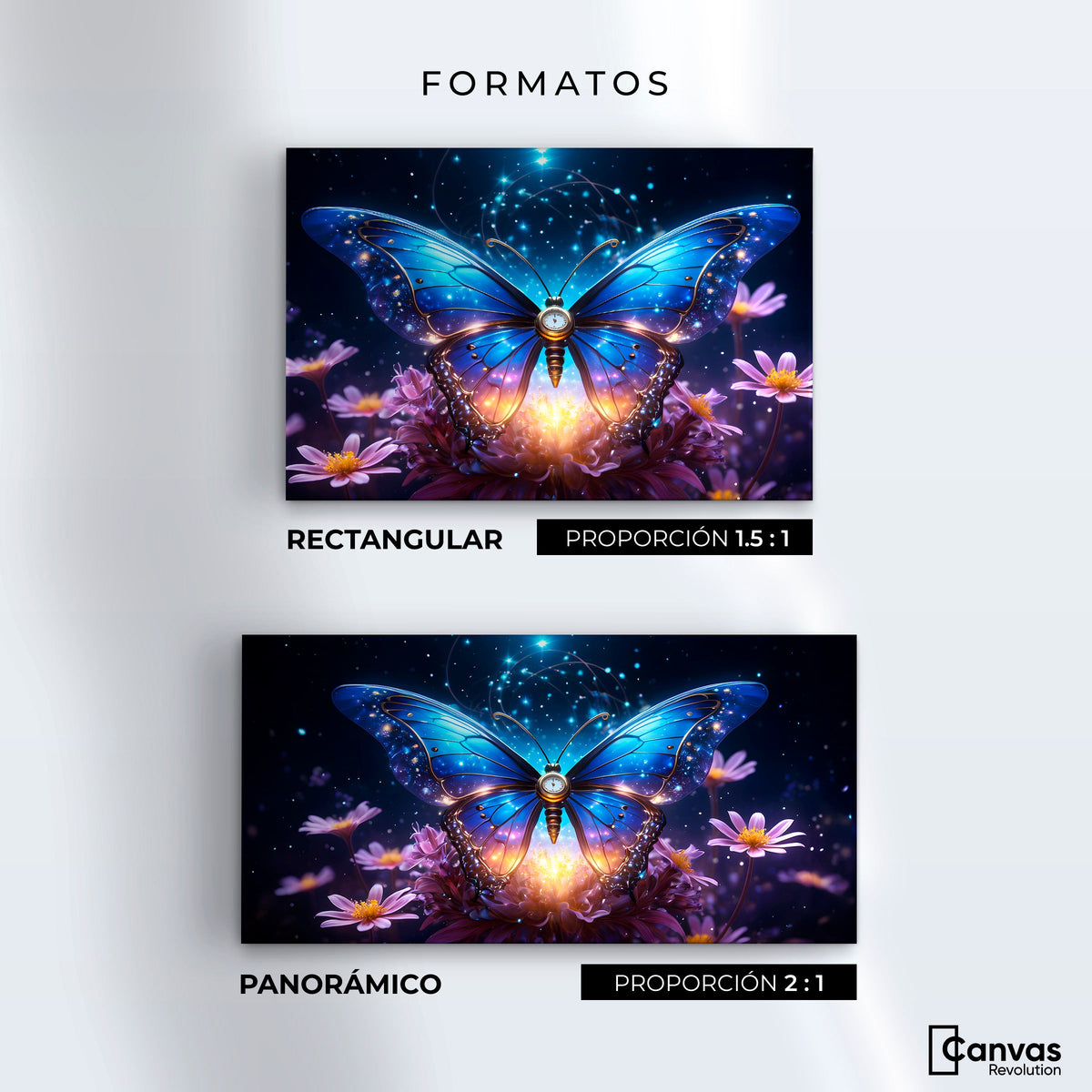 Cuadros Decorativos Canvas Revolution | Mariposa Celestial | Formatos
