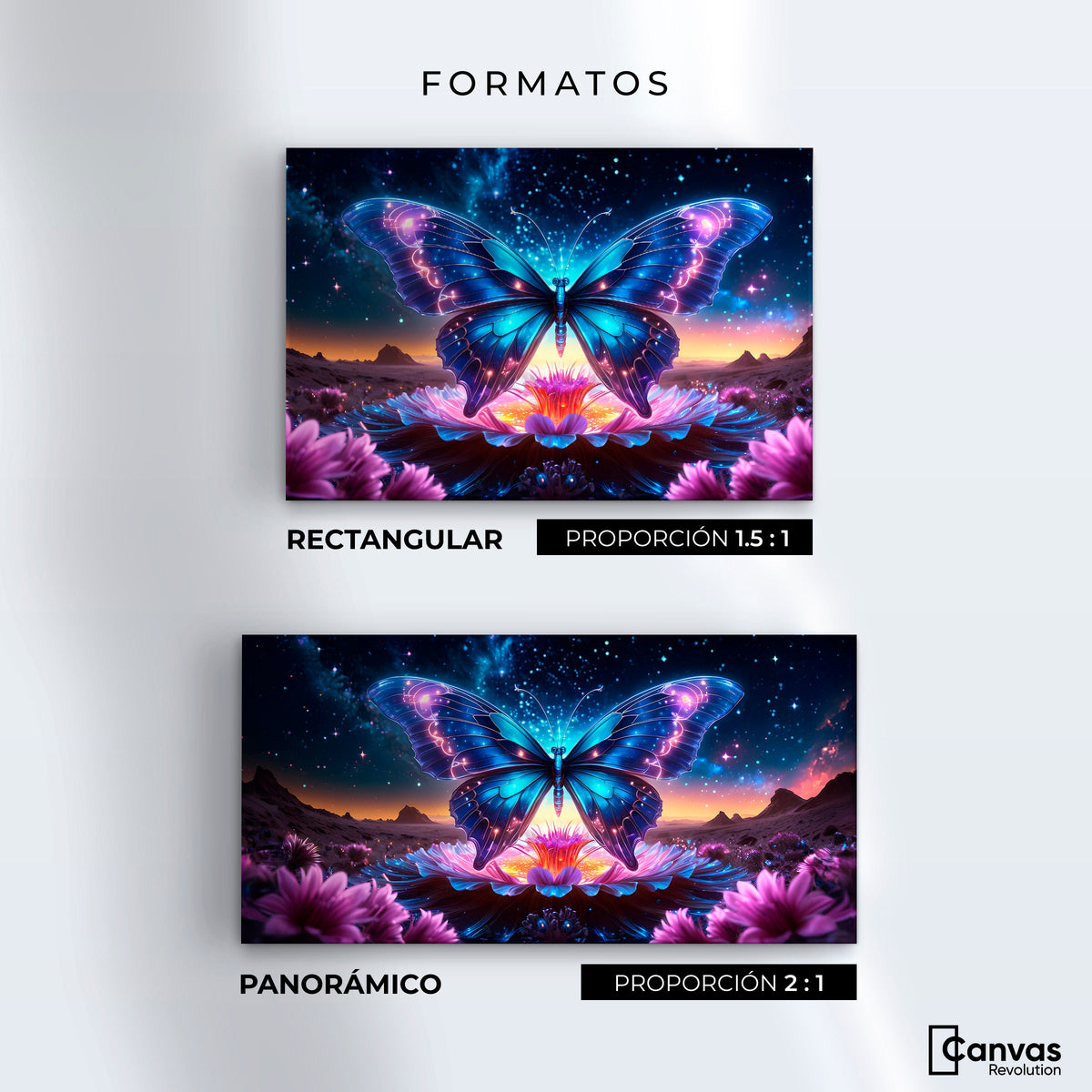 Cuadros Decorativos Canvas Revolution | Mariposa Encantada | Formatos