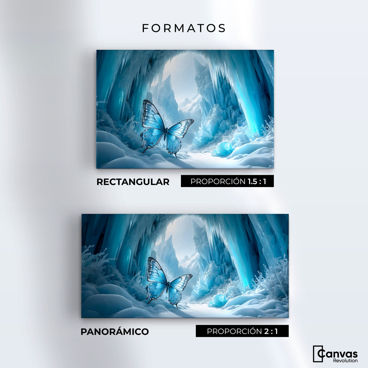 Cuadros Decorativos Canvas Revolution | Mariposa Glacial | Formatos