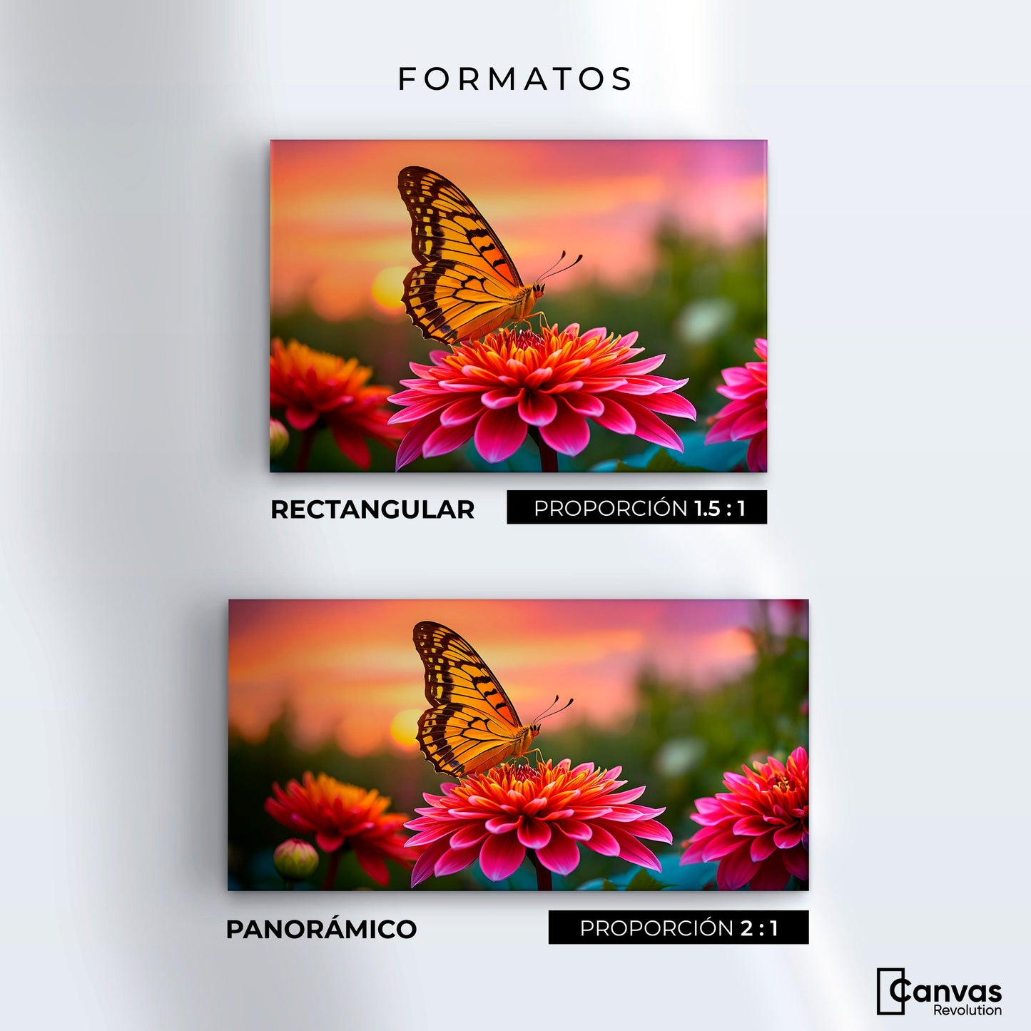 Cuadros Decorativos Canvas Revolution | Mariposa Radiante | Formatos