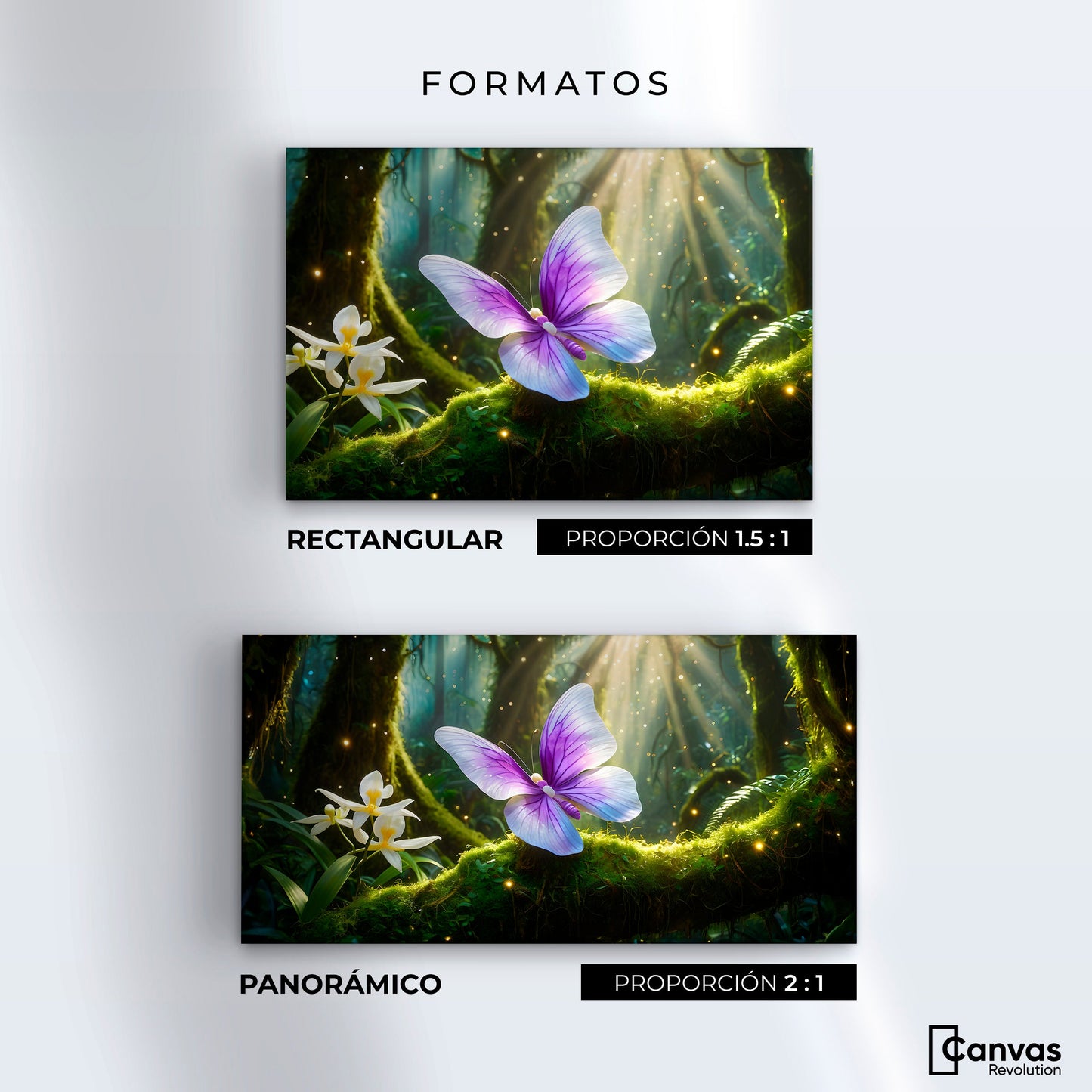 Cuadros Decorativos Canvas Revolution | Mariposa Silvestre | Formatos