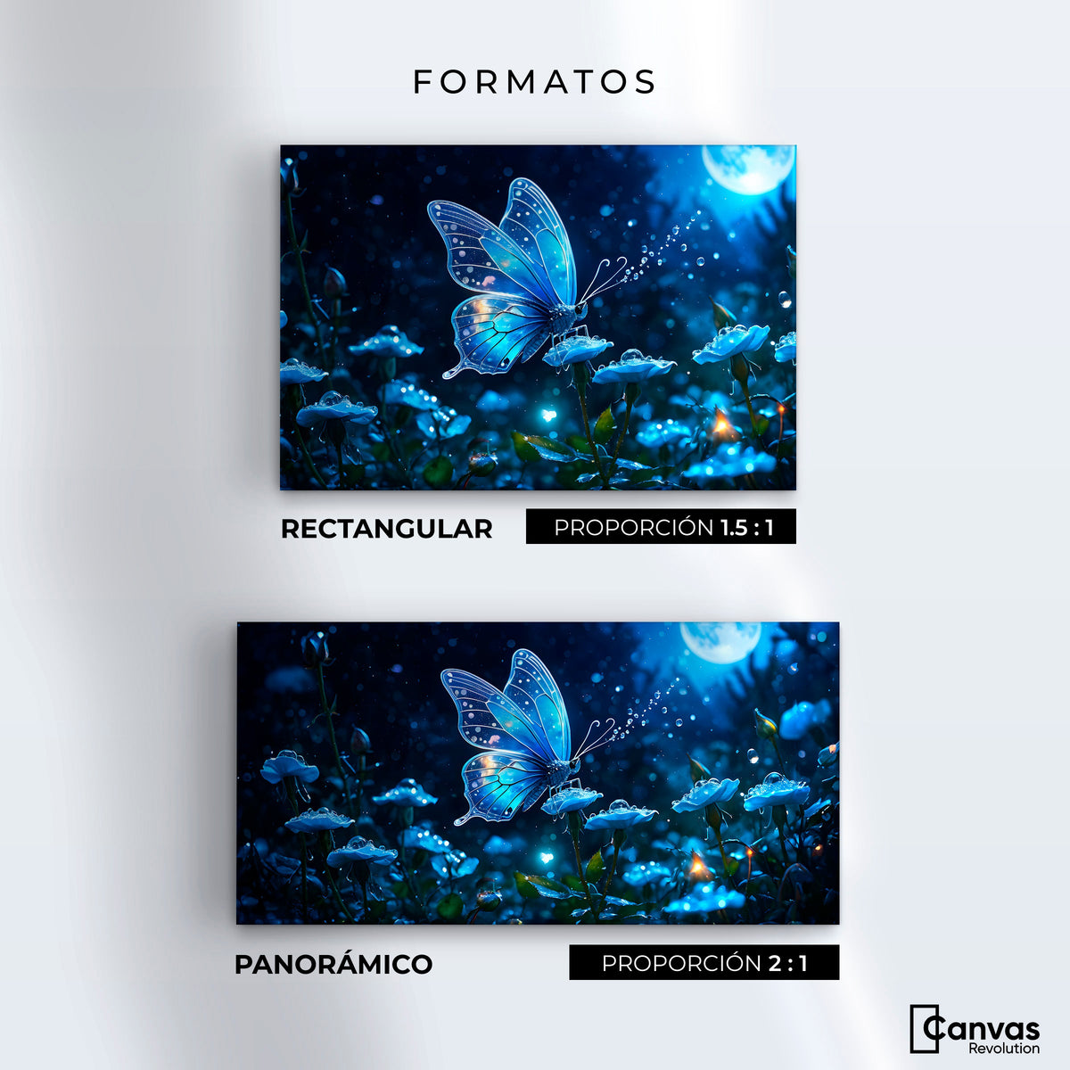 Cuadros Decorativos Canvas Revolution | Mariposa Y Rocio | Formatos