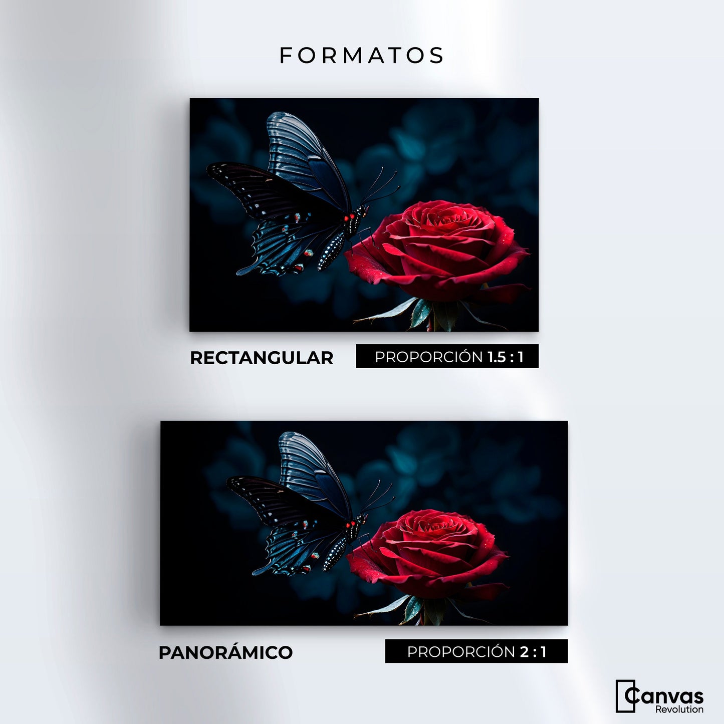 Cuadros Decorativos Canvas Revolution | Mariposa Y Rosa | Formatos